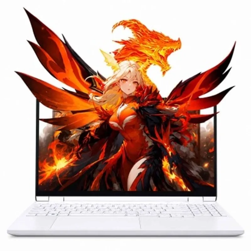 MECHREVO 機械革命 MECHREVO 翼龍16Pro 電競手提電腦 (AMD Ryzen 7 H 255, RTX 5060, 32GB RAM, 1TB SSD)(NB-M16PR7E)