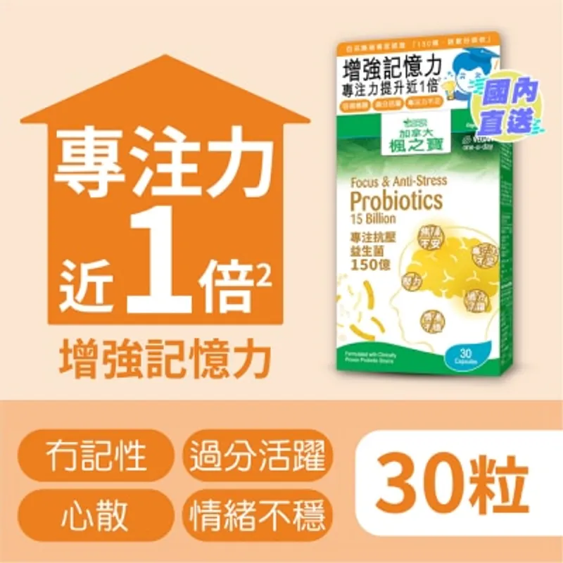 楓之寶 專注抗壓益生菌 150億 (30粒)