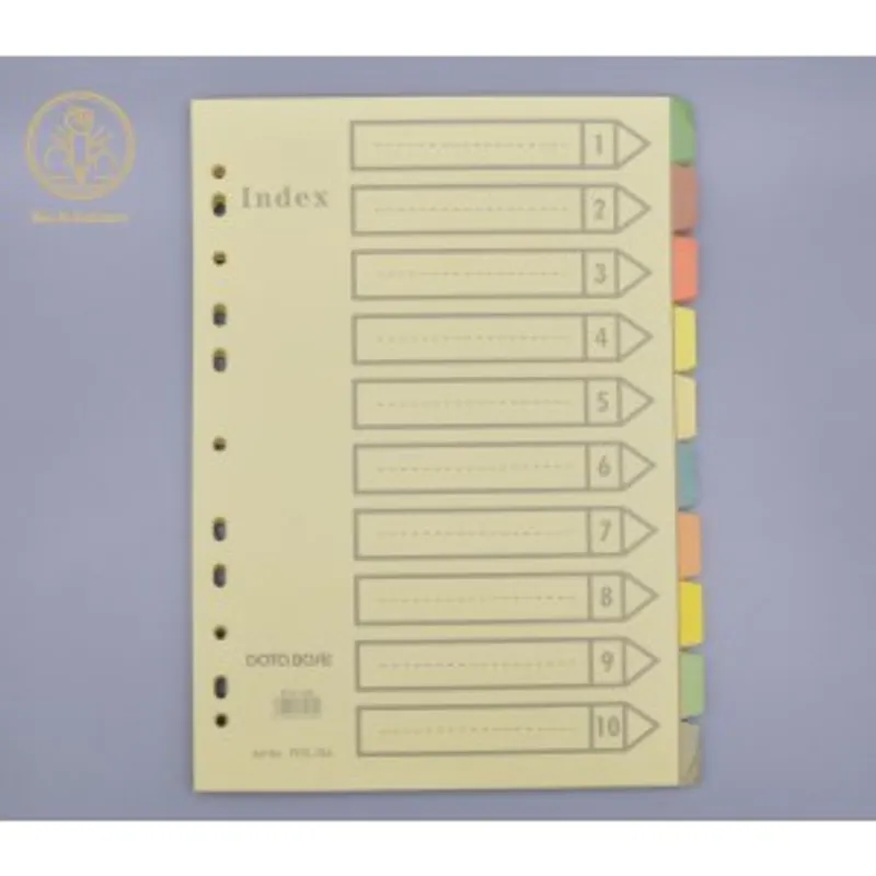 DATABASE PCG-10A A4 10色紙質分類頁