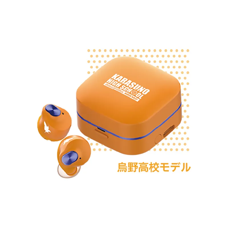 AVIOT 真无线降噪蓝牙耳机 TEQ3/HK1