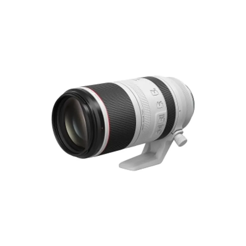 CANON 佳能 RF 100-500mm f/4.5-7.1L IS USM 鏡頭