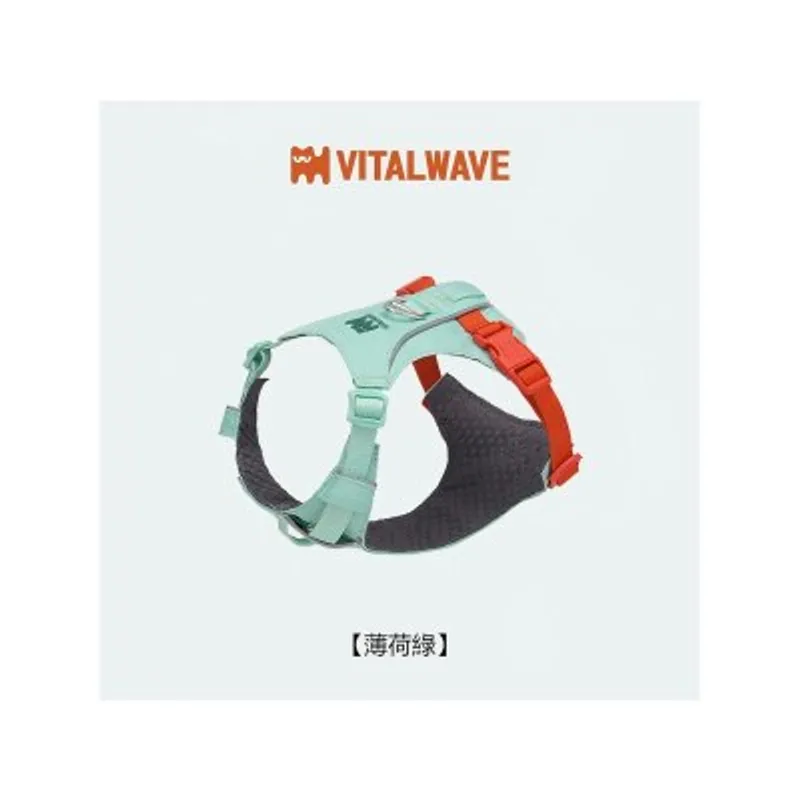 VITAL WAVE 煥彩羽感胸背帶 （兩爪）