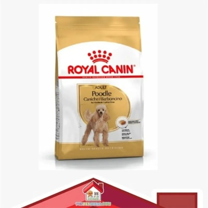 Royal Canin 純種系列 - 貴婦狗成犬專屬配方 *Poodle Adult* 狗乾糧