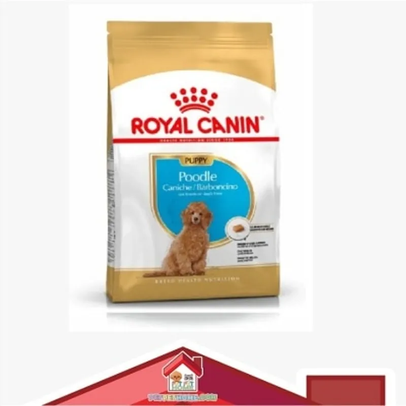 Royal Canin 純種系列 - 貴婦狗幼犬專屬配方 *Poodle Puppy* 狗乾糧 3kg
