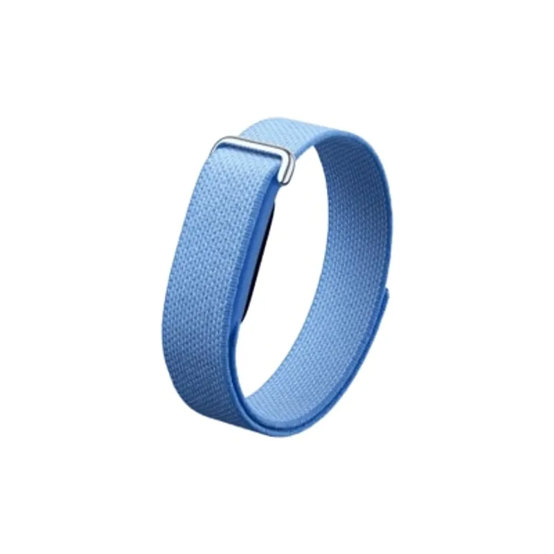 GOOGLE 谷歌 Fitbit Air 健康及活動追蹤手環