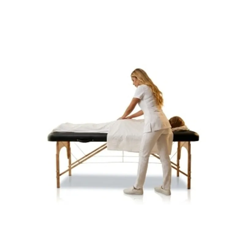 Medics Care MC-125 兩節式鋁合金按摩床 185×70 cm
