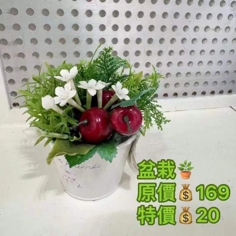 盆栽