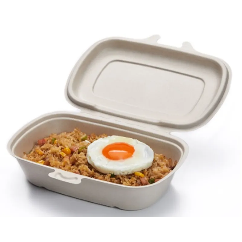 850ml 單格連蓋環保飯盒-30 oz （270 X 225 X 55mm）