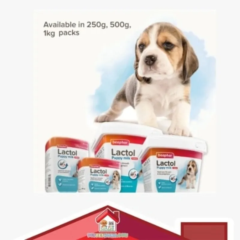 beaphar Baphar LACTOL 力圖狗奶粉 Puppy Milk