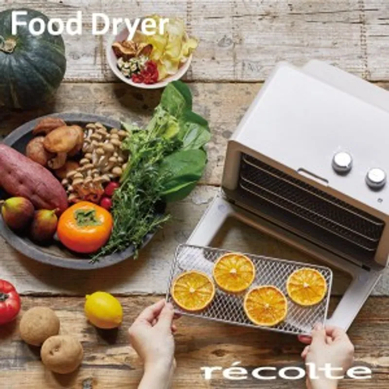 recolte Food Dryer 乾果機