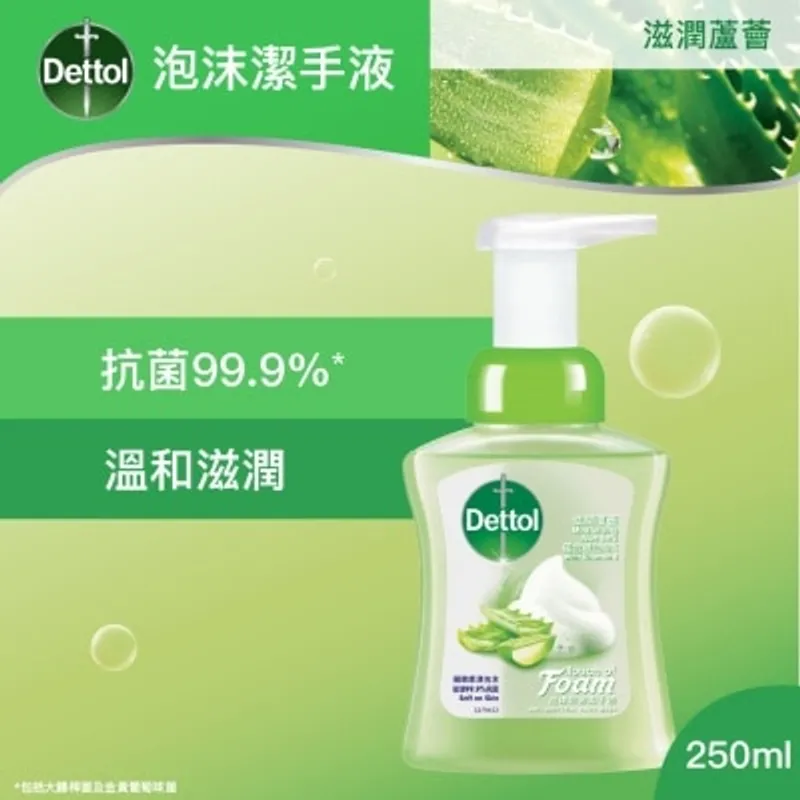 滴露滋潤蘆薈泡沫潔手液250ml