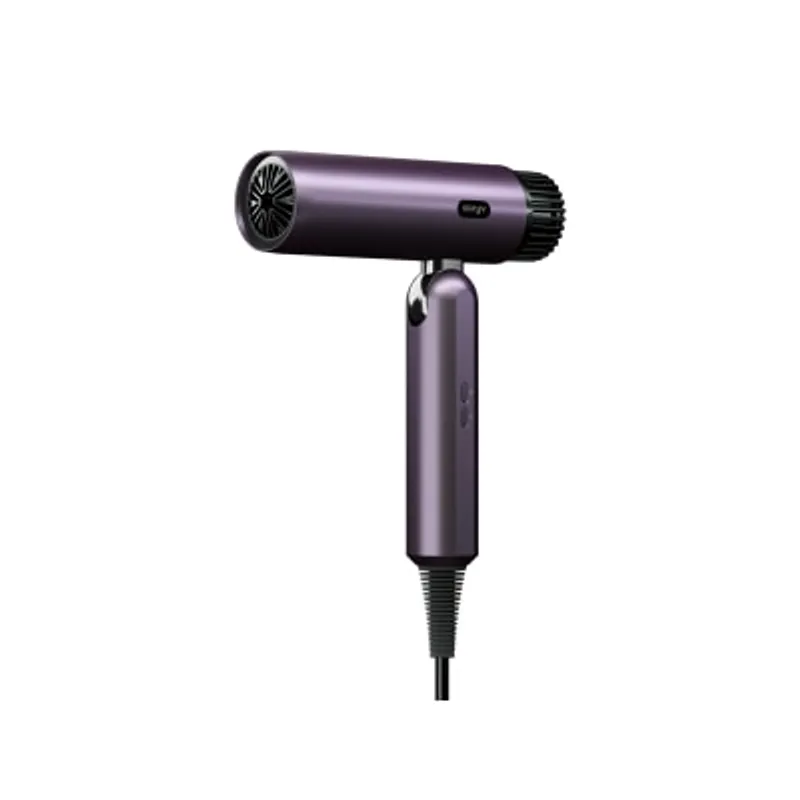 Stryv 國際電壓ProTraveller 2.0 風筒