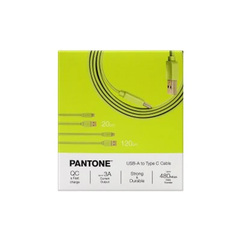 Pantone 20cm + 120cm Gold platted Typc C to Type A 接線