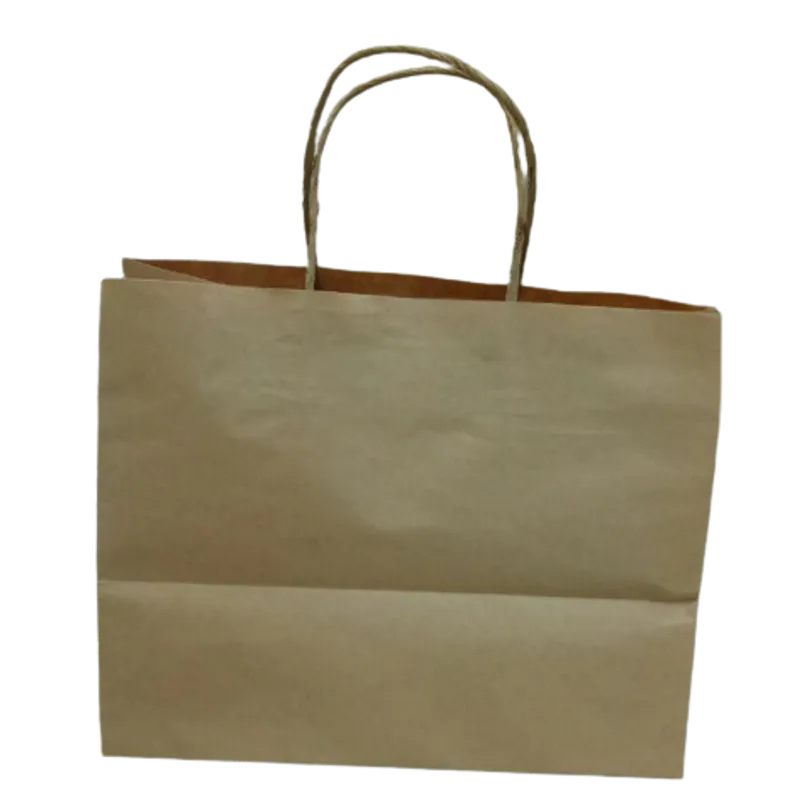 #HE3806 貼捲紙繩啡牛皮紙袋+底咭(Size:29x23+18cm)