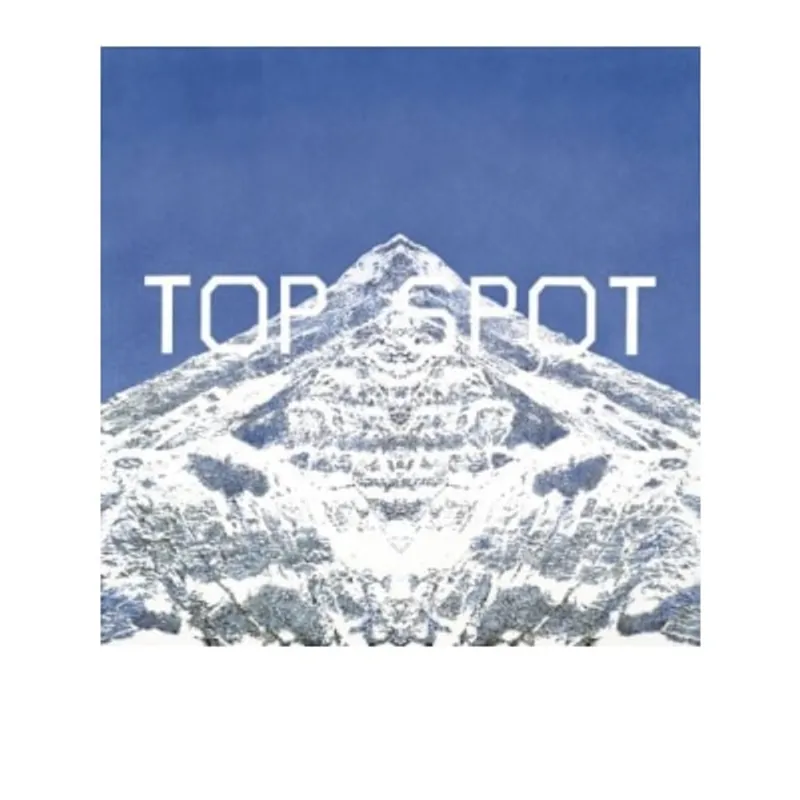 OTHERS 其他 T.O.P - TOP SPOT (CD)
