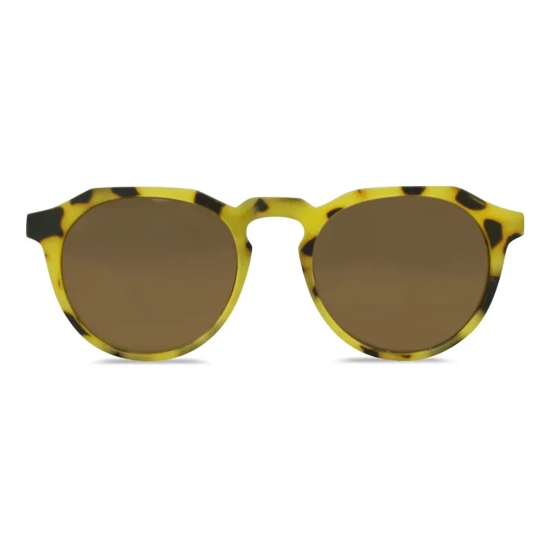 MILK X SODA ELLIOTT SUNGLASSES （玳瑁色）