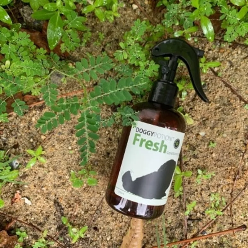 DOGGY POTION FRESH 燕麥潤澤毛髮噴霧 250ml