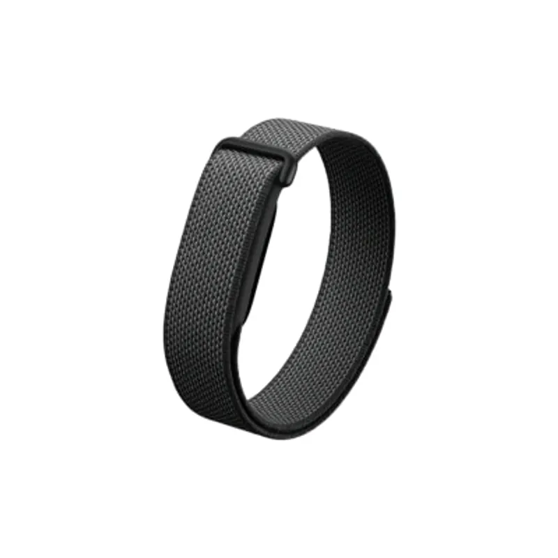 GOOGLE 谷歌 Fitbit Air 健康及活動追蹤手環