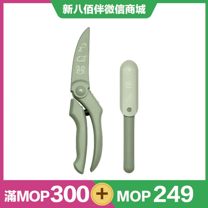 ZWILLING Now S 家禽剪套装2件 薄荷绿