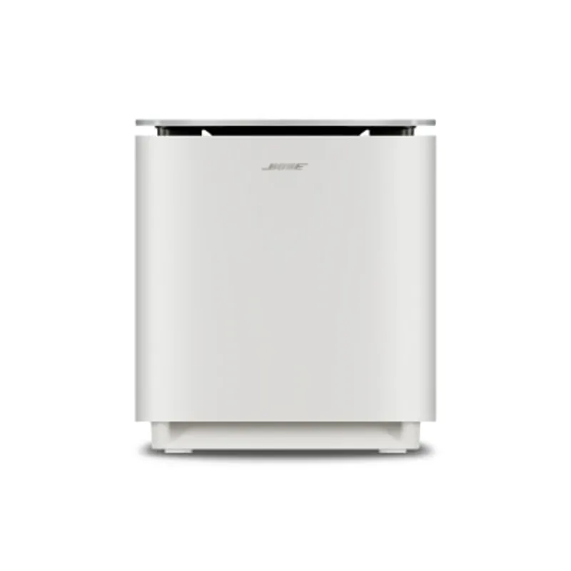 Bose Lifestyle Ultra 低音箱