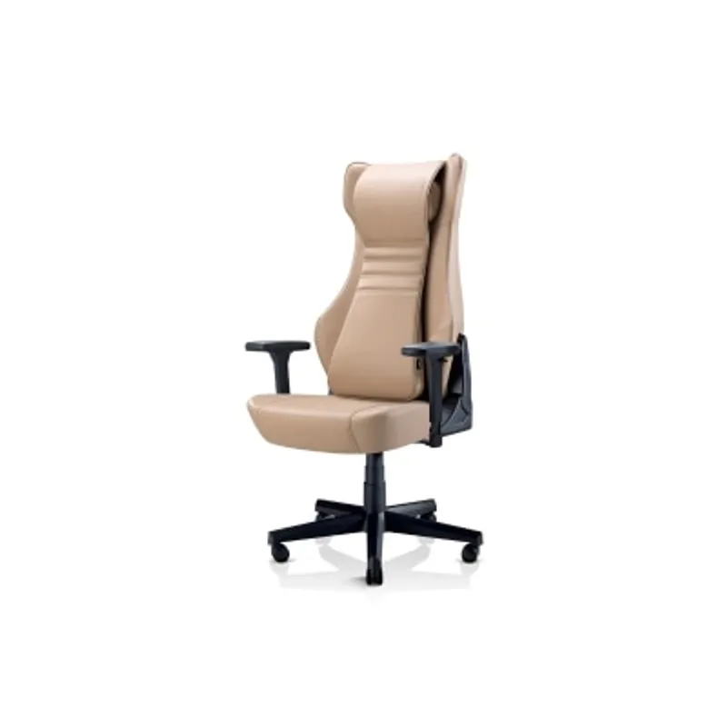 OSIM uErgoh 按摩電腦椅 (自行安裝)