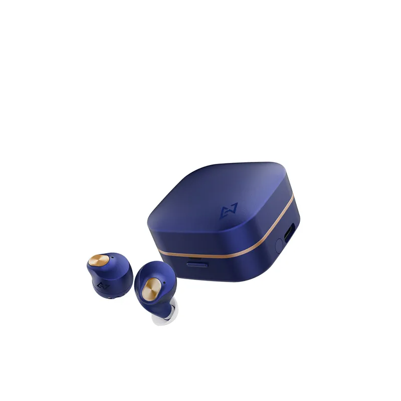 AVIOT 入耳式真无线降噪耳机 TEQ3/BLUE