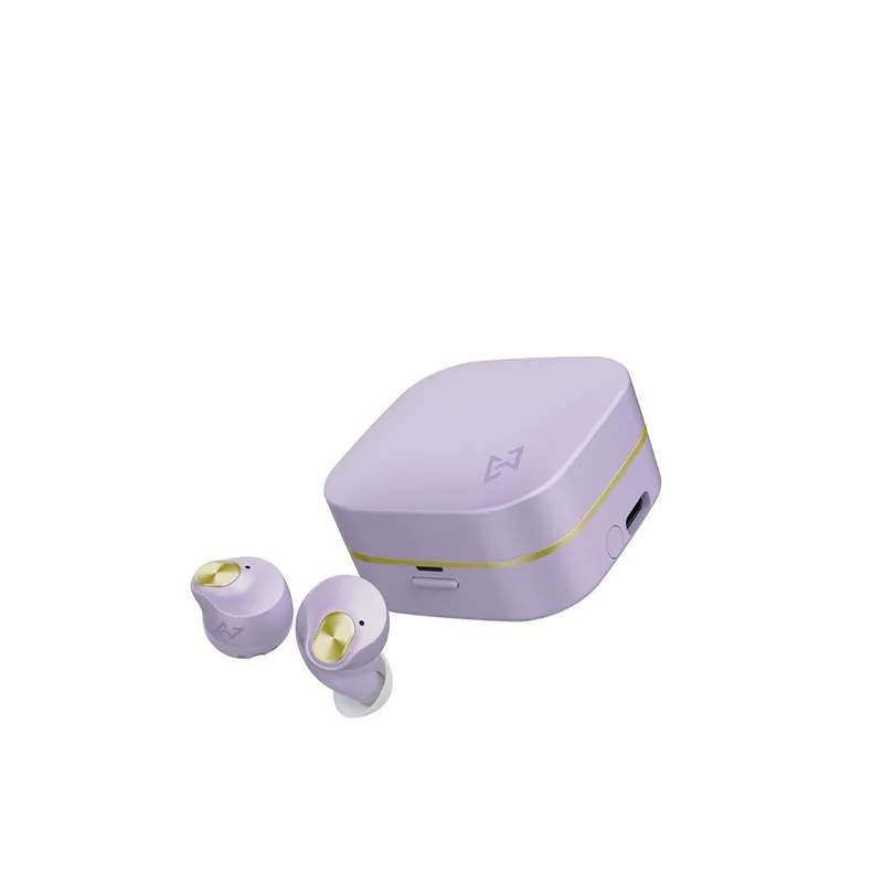 AVIOT 入耳式真无线降噪耳机 TEQ3/PURPER