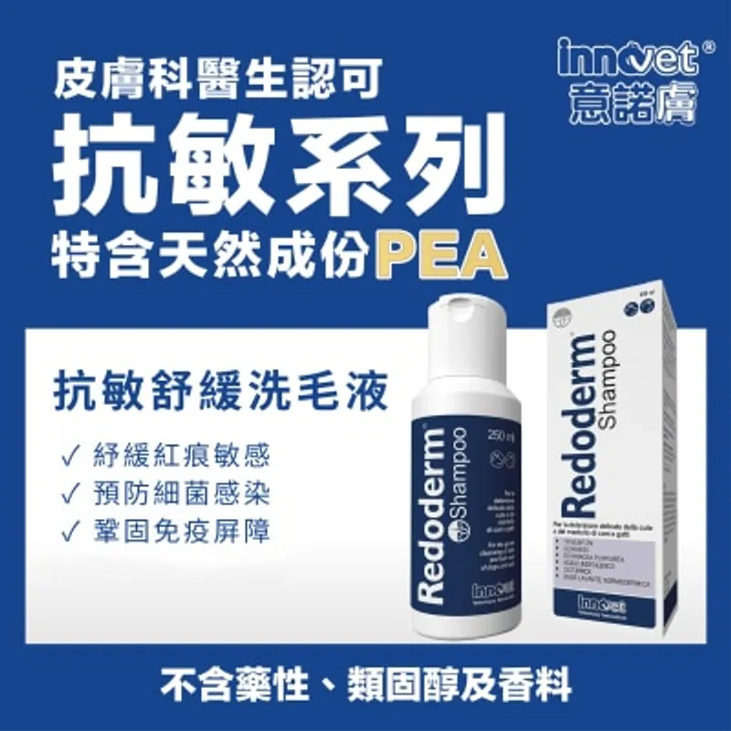 POINTERS PHARMA Innovet Redoderm®低敏洗毛液 250ml