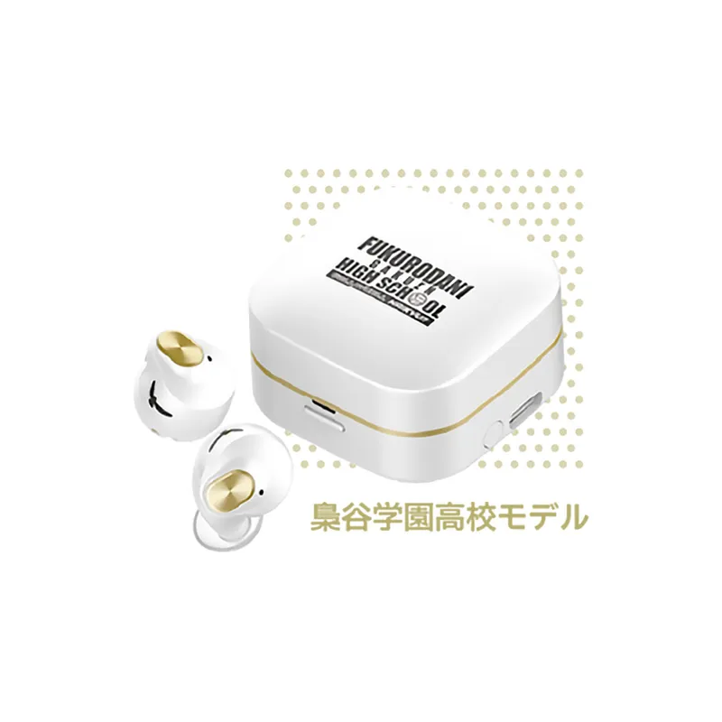AVIOT 真无线降噪蓝牙耳机 TEQ3/HK3