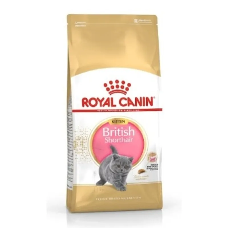 Royal Canin 純種系列 - 英國短毛幼貓專屬配方 貓乾糧
