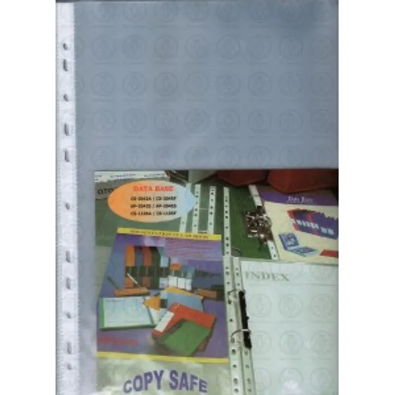 DATABASE AP-4042磨砂資料保護套(11孔)