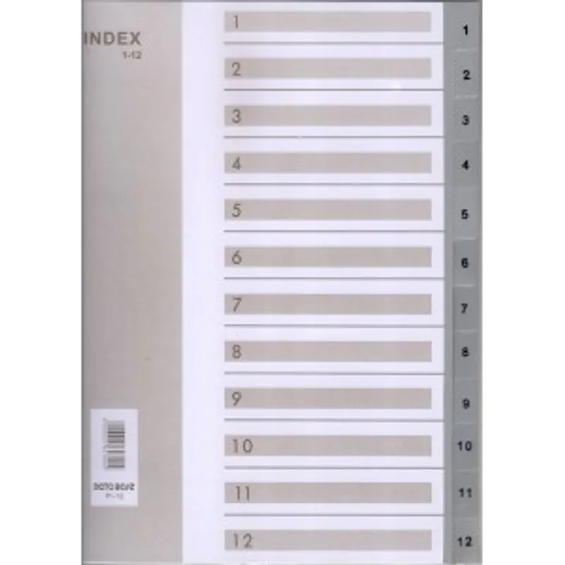 DATABASE PI-12 1-12號膠質分類頁(11孔)